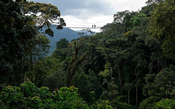 Nyungwe_Forest_National_Park