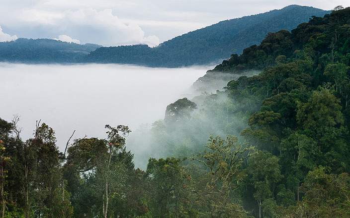 misty morning