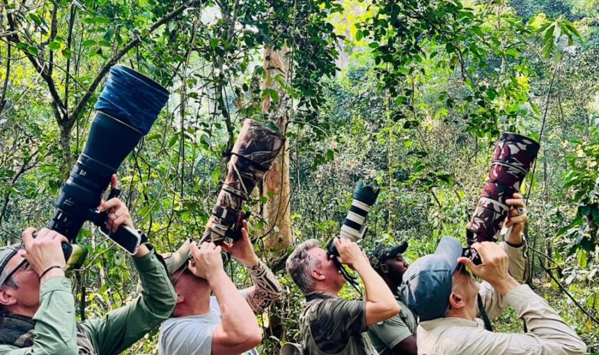 Best Places for Bird Watching in Uganda: Top 5 Birding Parks