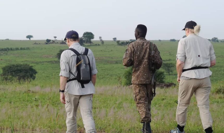 Exploring the Cost of Going on a Safari Tour in Uganda