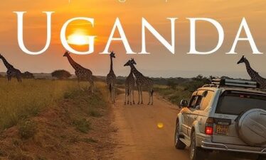 Tourists on a guided game drive while on a Uganda safari tour