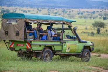 A stunning view of a Ugandan national park, showcasing lush landscapes and diverse wildlife.