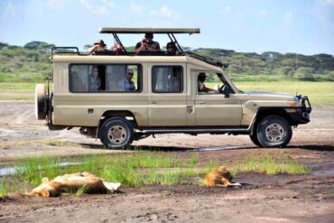 10 Day Best Uganda Safari Tour