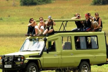 Private game drive safari tour in Uganda showcasing wildlife and nature
