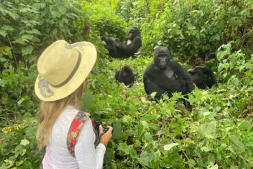 Best 3 Days Gorilla trekking safari in Uganda