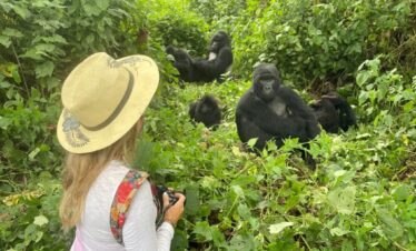 Cheap Gorilla trekking safaris in Uganda