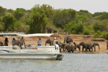 Tour in Uganda August, wildlife safari in Murchison Falls and Queen Elizabeth National Park