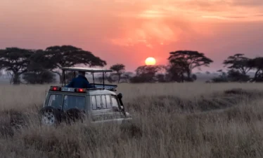 Best Uganda Game drive