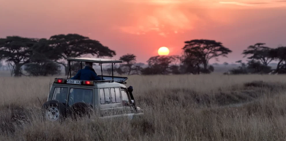 Best Uganda Game drive