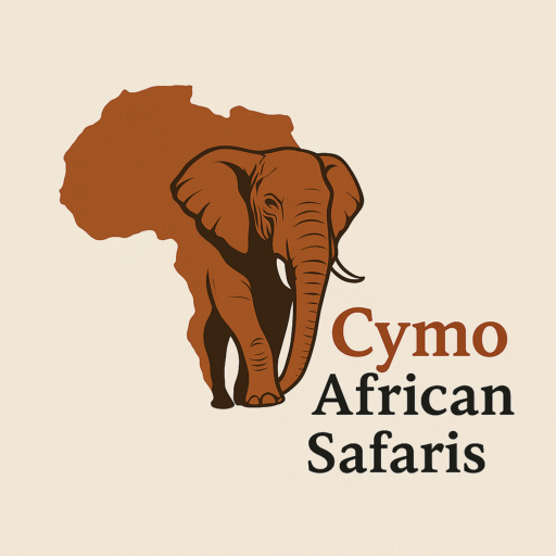 Cymo African Safaris guide leading a group of travelers on an unforgettable wildlife adventure during Safaris Uganda Tours through Uganda's national parks and gorilla trekking experiences.
