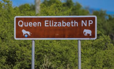 Gorilla Trekking Uganda Safaris