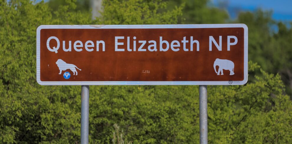 Gorilla Trekking Uganda Safaris