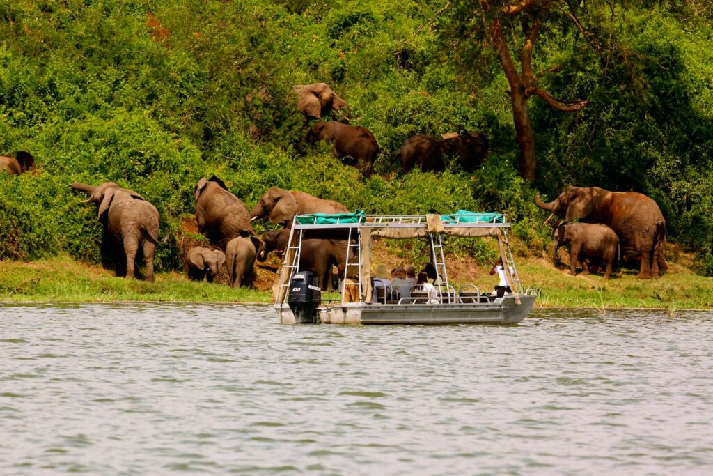 Uganda Boat Safari
