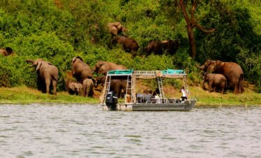 Uganda Boat Safari