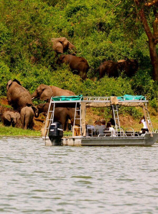 Uganda Boat Safari