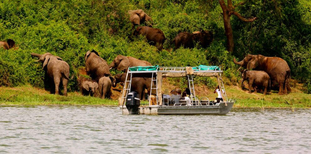 Uganda Boat Safari