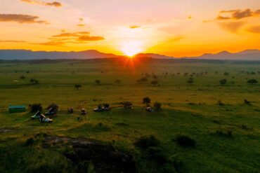 Uganda Safari in December