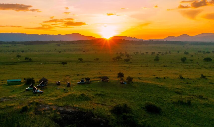 Top Family-Friendly Uganda Safari Holidays in December