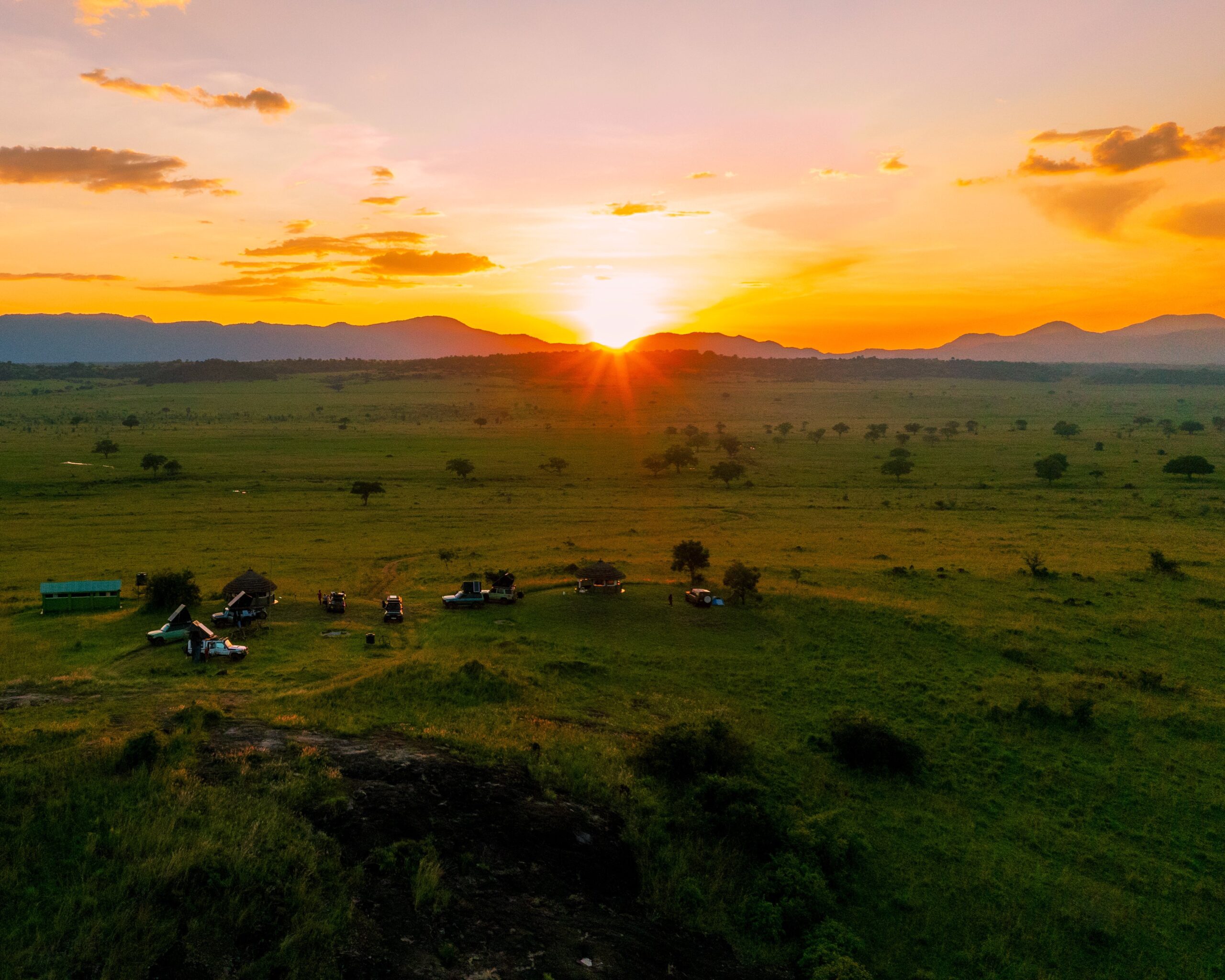 Uganda Safari in December