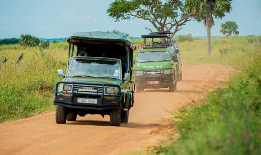 What Are Some Uganda Safari Packages for Families?