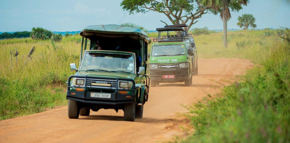 7 Day Uganda Safari with Gorillas