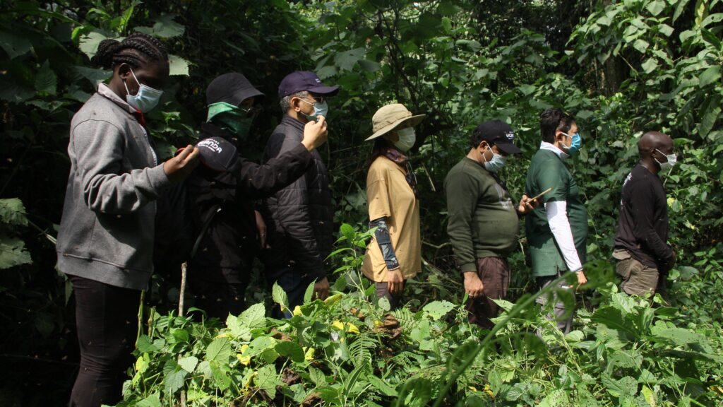 Gorilla Trekking in Uganda