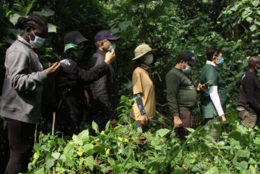 Gorilla Trekking in Uganda