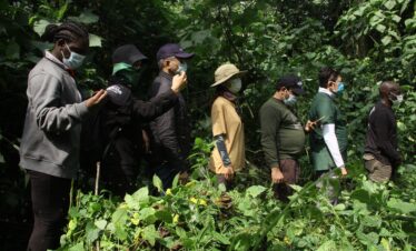 Gorilla Trekking in Uganda