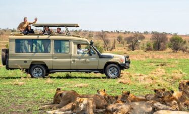 Best Uganda Safari Holiday