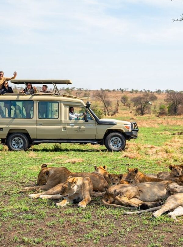 Best Uganda Safari Holiday