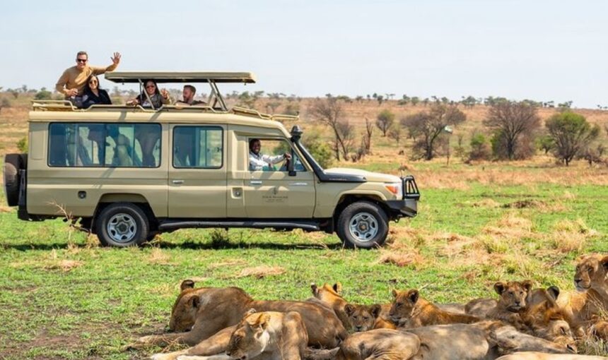 How Much is Queen Elizabeth National Park Entrance Fee?