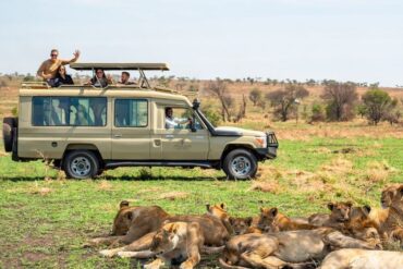 Best Uganda Tour Operator