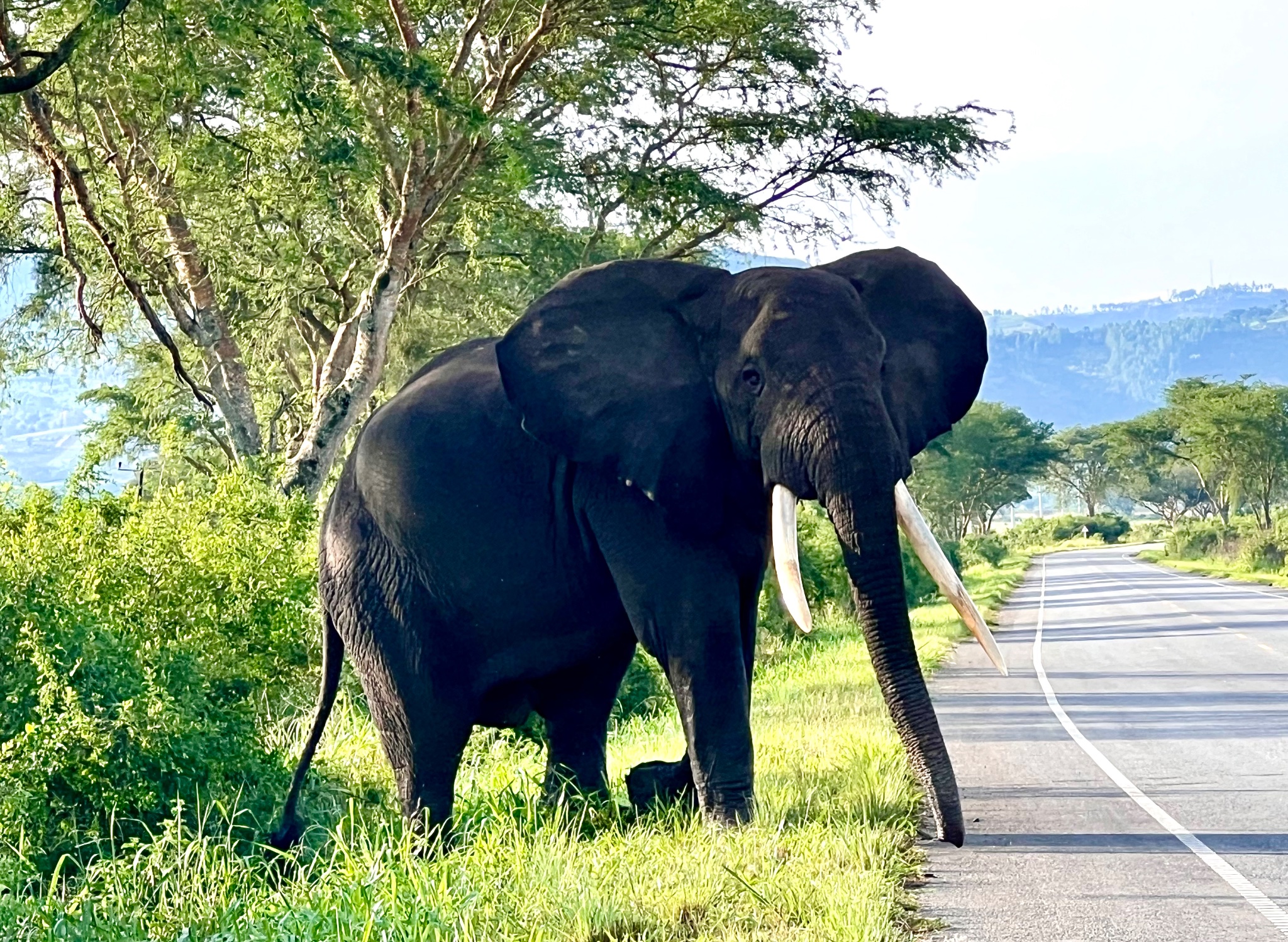 1O Days Uganda Safari