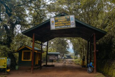 Bwindi Gorilla trekking