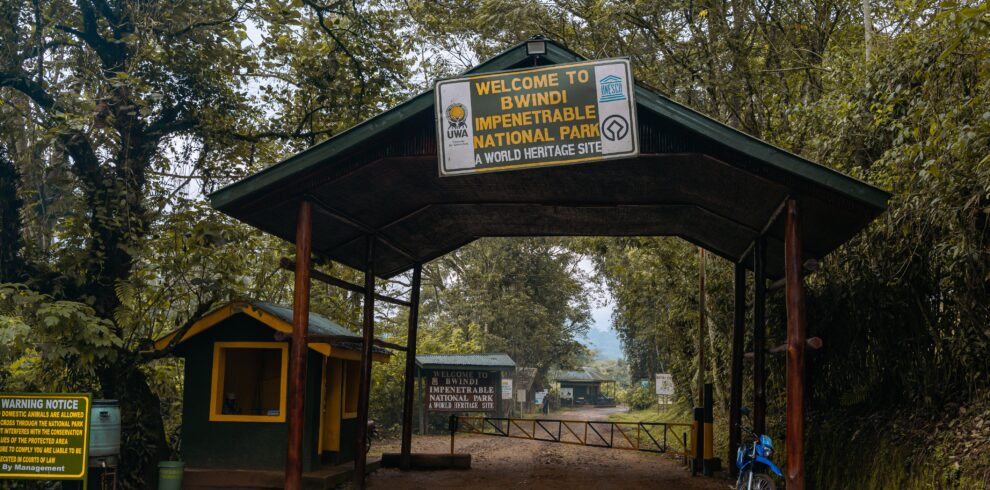 Bwindi Gorilla trekking