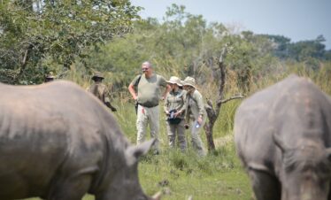 Rhino tracking Safari Uganda